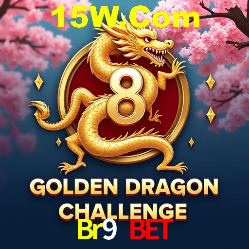 Descubra a Magia dos Jogos de Arcade no Br9 Bet
